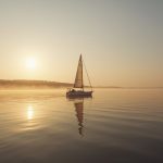 Profesjonalny  kompendium  o organizacji księgowości